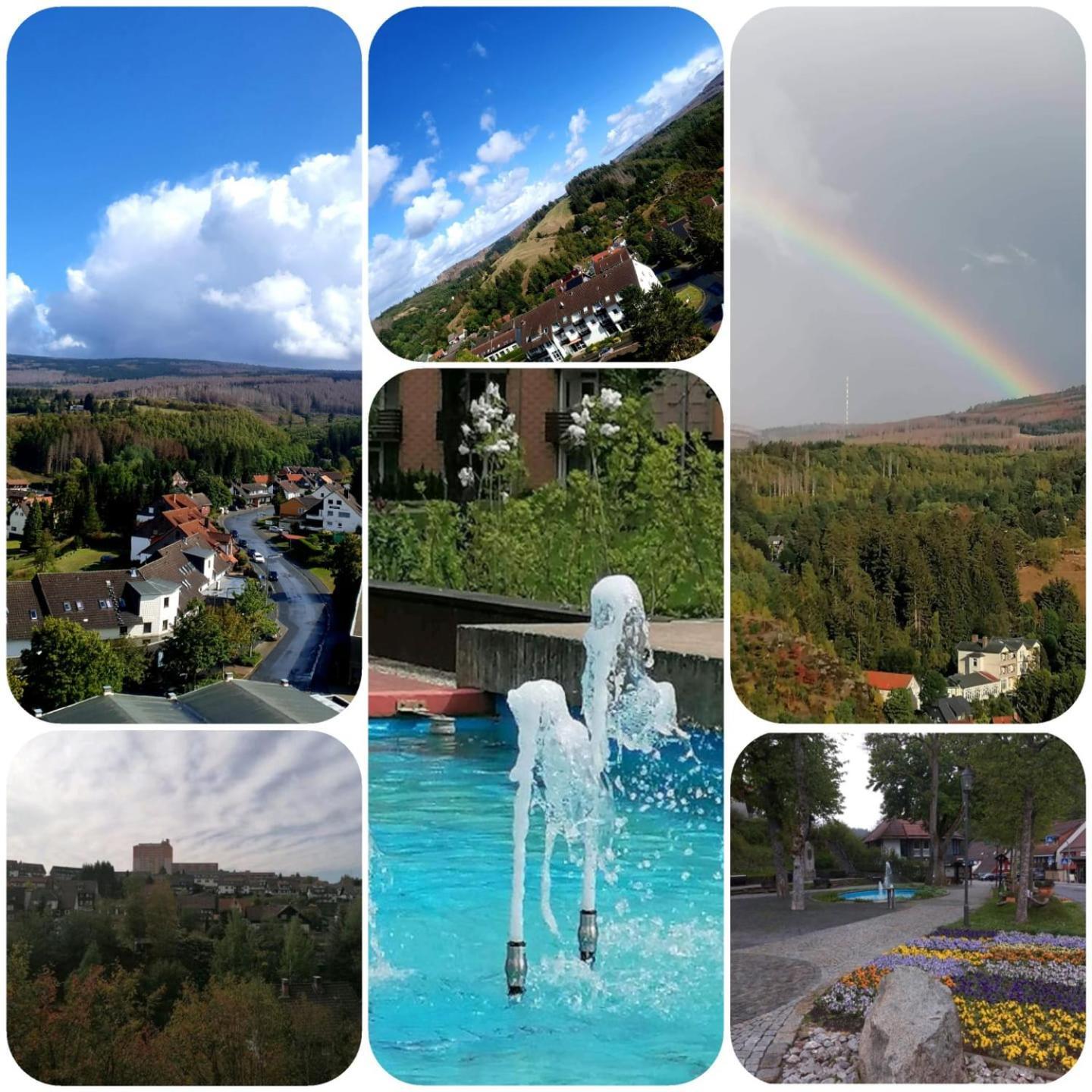 Crisand 4 Brockenblick Apartment Altenau (Lower-Saxony)